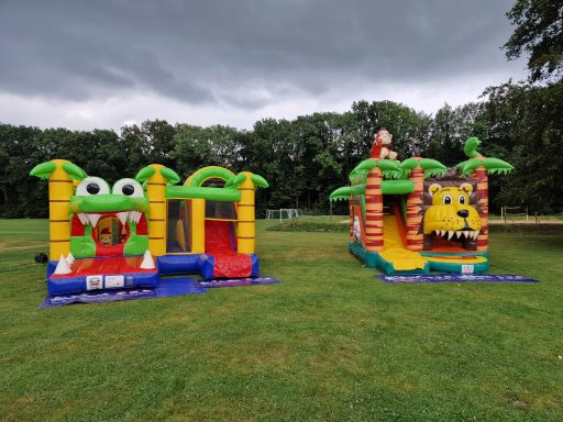 Bunte Hüpfburgen mit tierischen Motiven auf einer grünen Wiese.