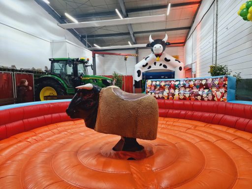 Rodeo-Kuh auf einem orangefarbenen Aufblasring in einer Halle mit Traktor im Hintergrund.